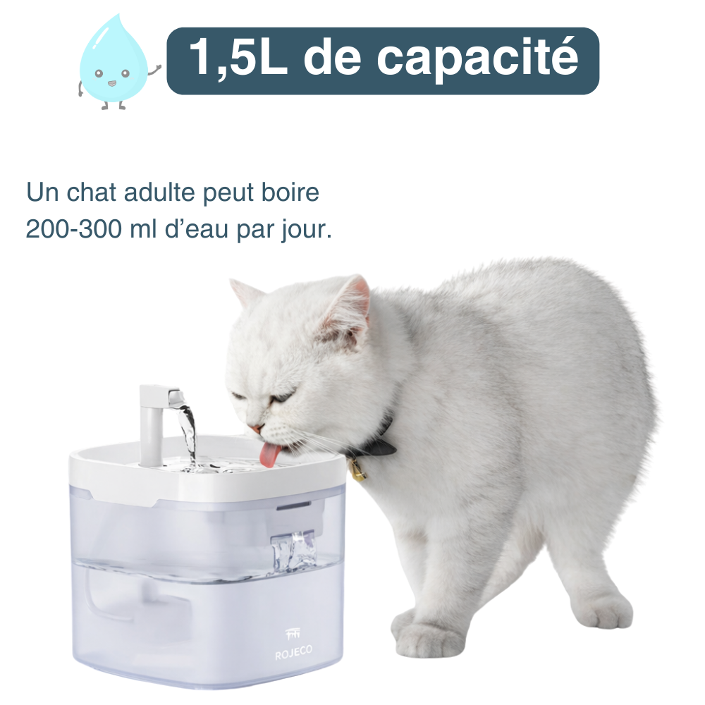 Fontaine à eau pour chats et chiens