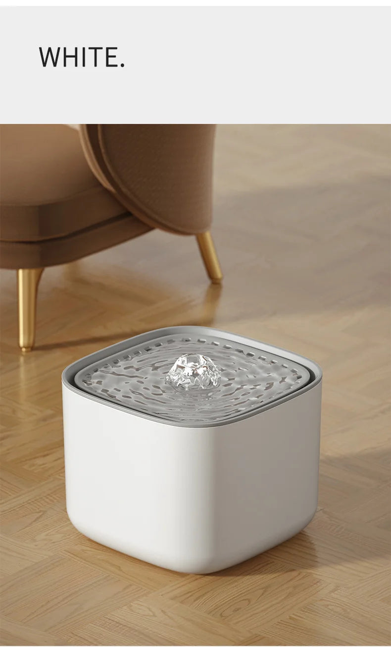 Fontaine chats chiens